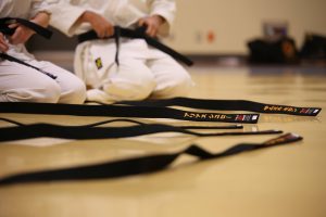Ewolucja Karate